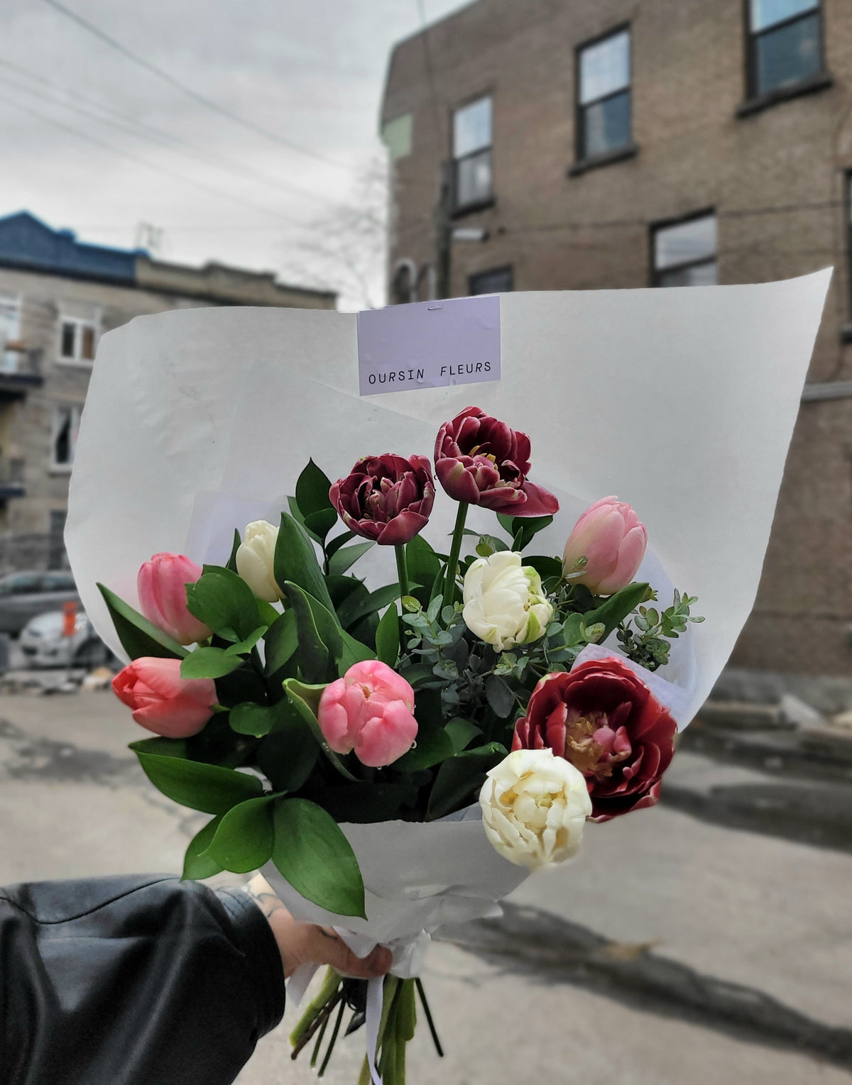 Bouquet of LOCAL TULIPES