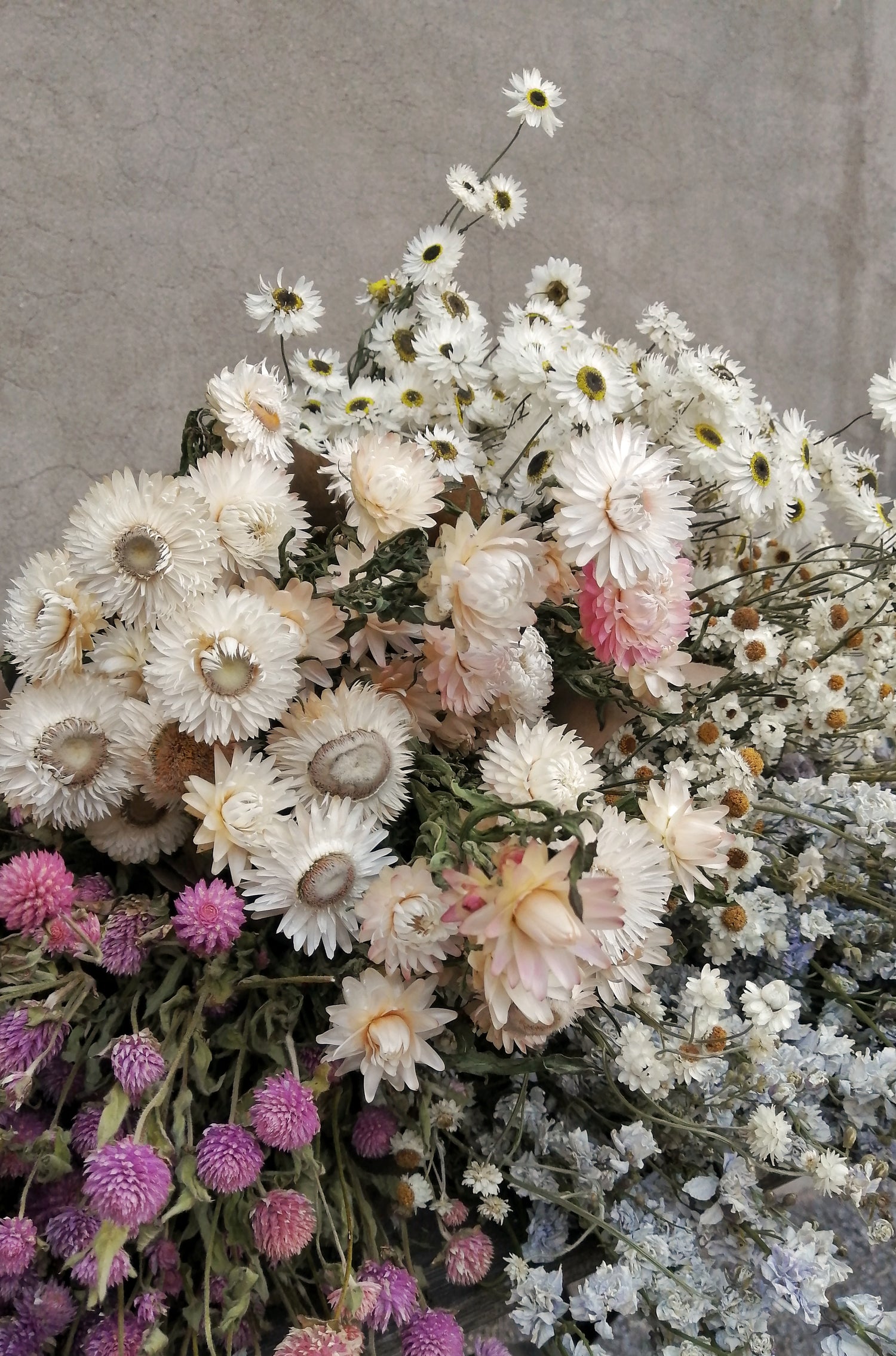IMG_20211203_150846-01 - Oursin fleurs