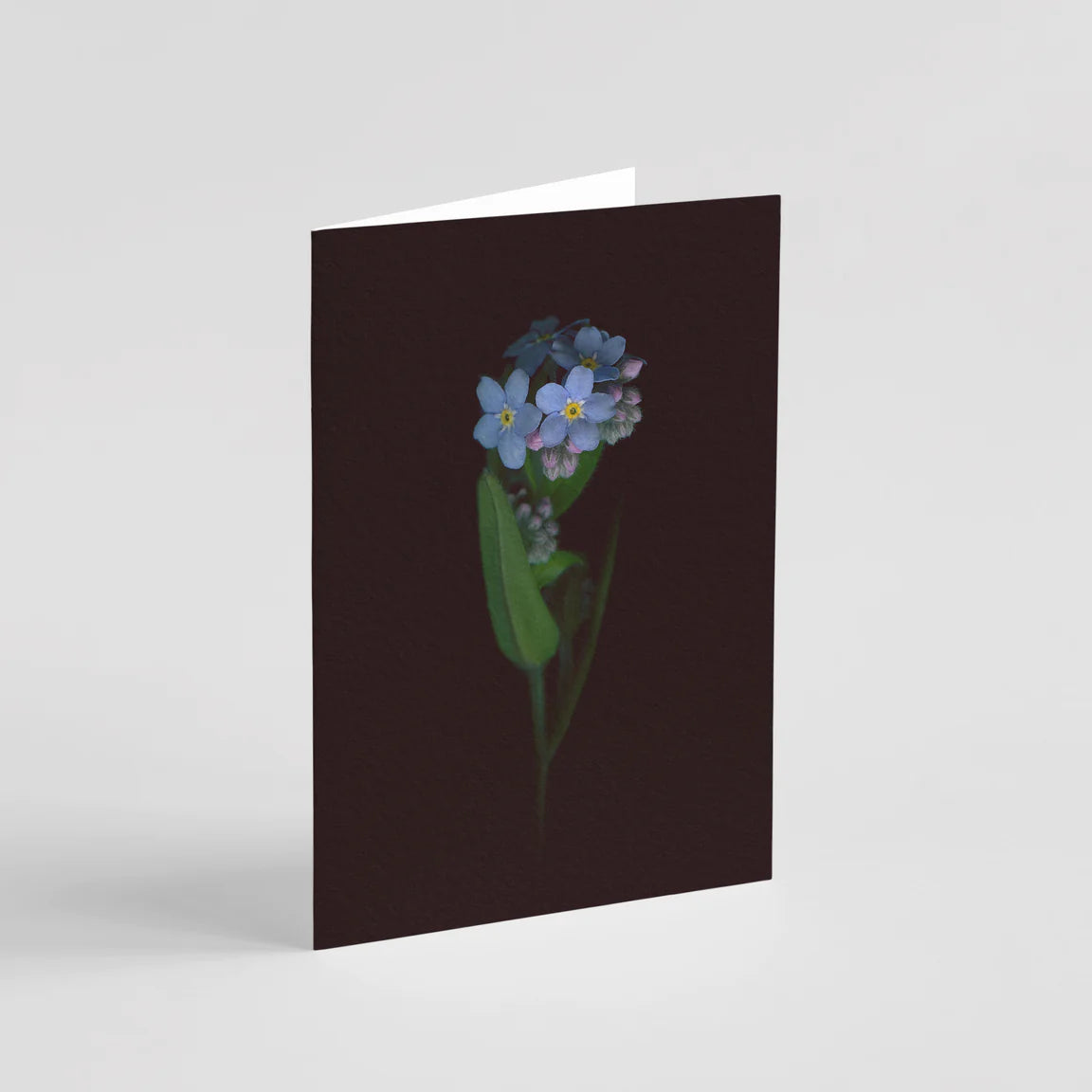 Forget-me-not" accompanying card