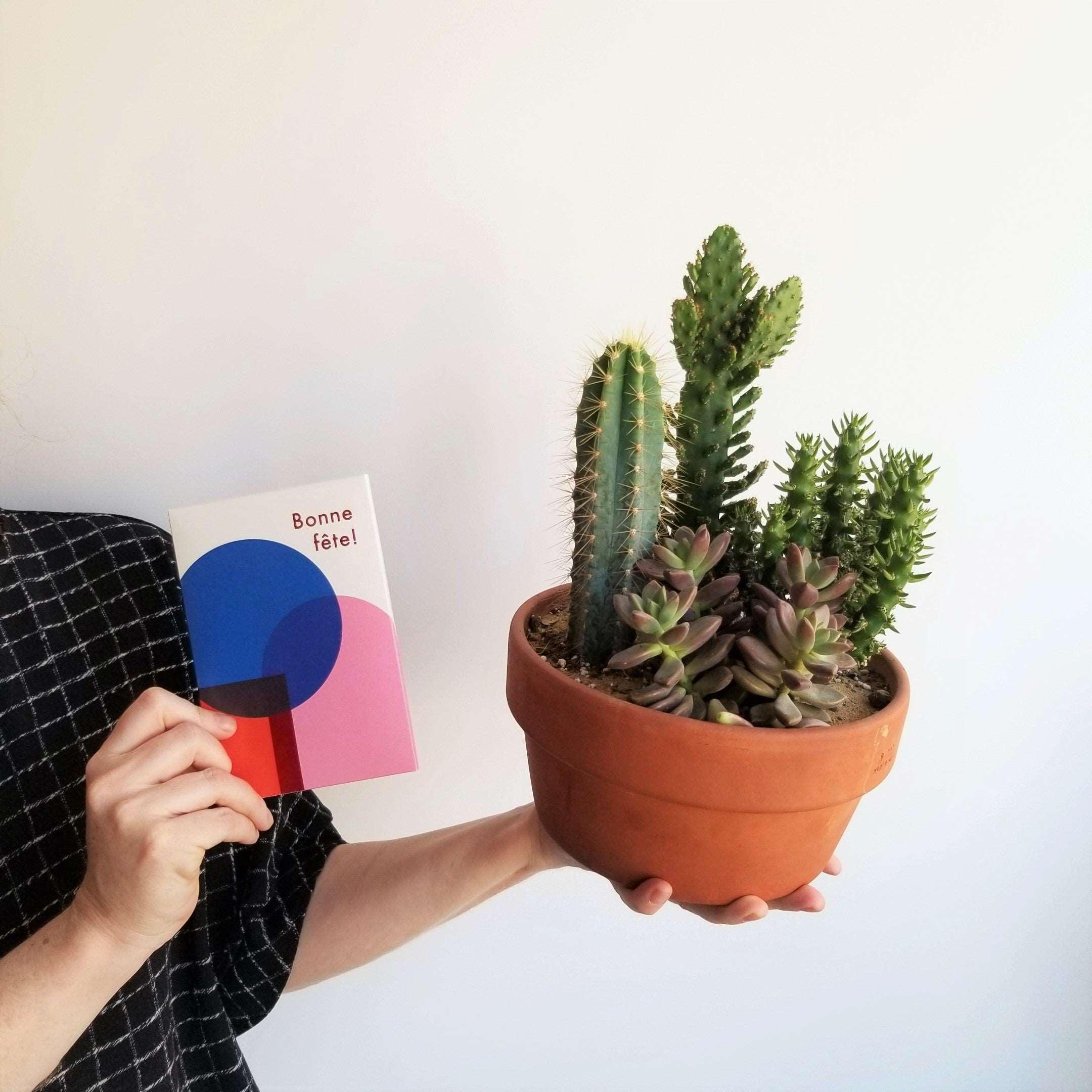 Duo Cactus & Chocolats