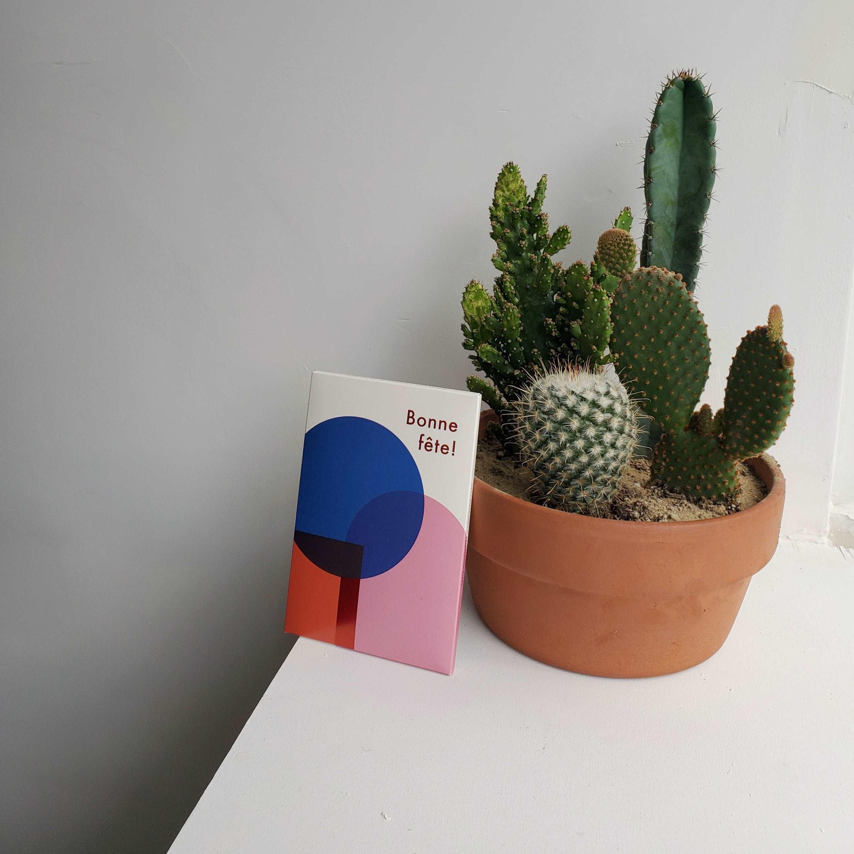 Duo Cactus & Chocolats