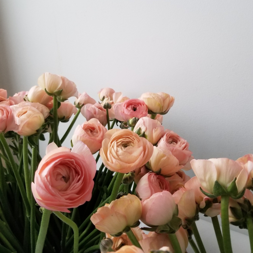 Bouquet de saison