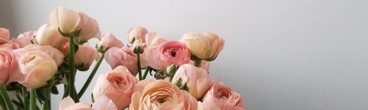 Abonnements floraux - Oursin fleurs
