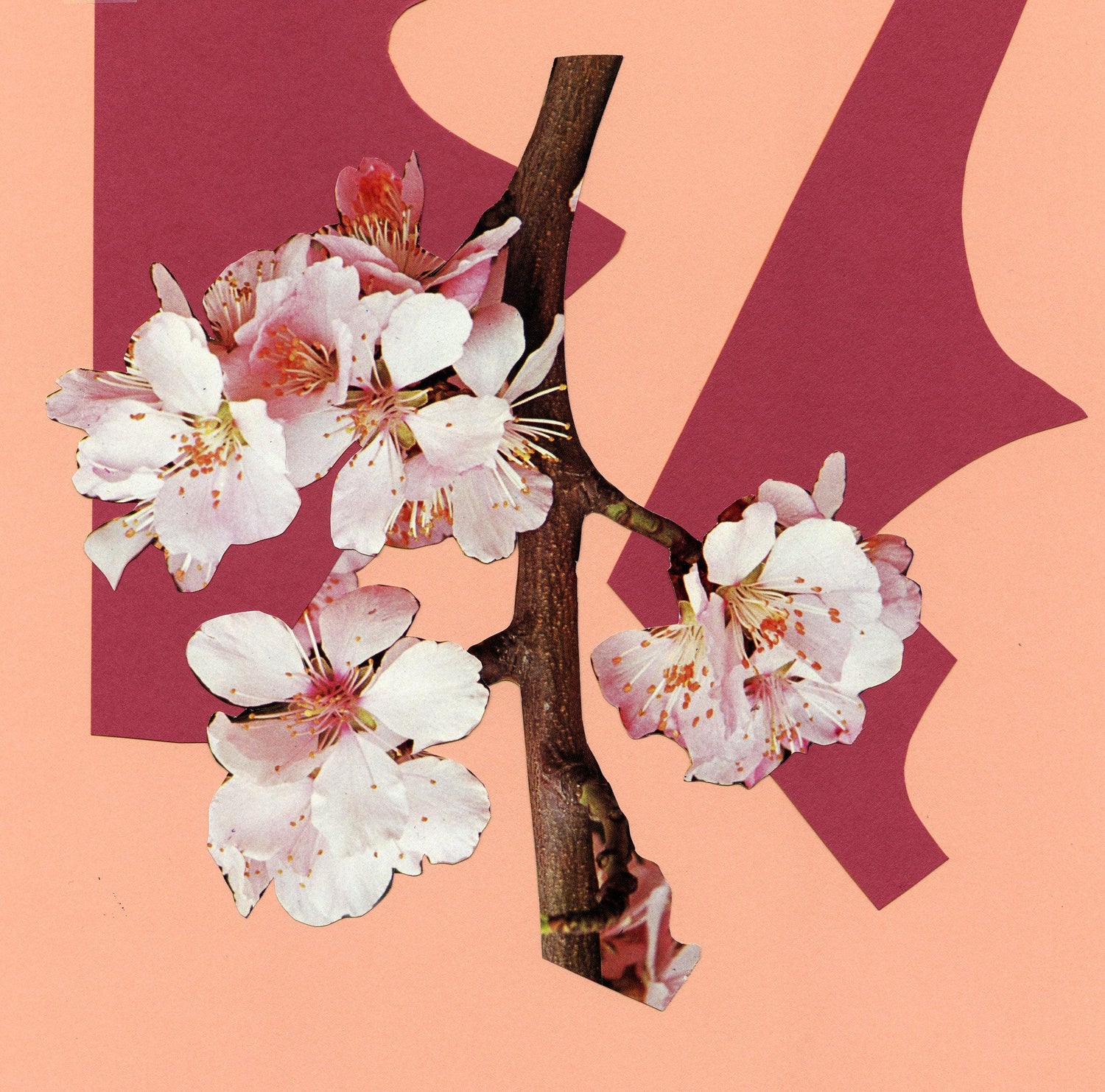 Collection Saint-Valentin - Oursin fleurs