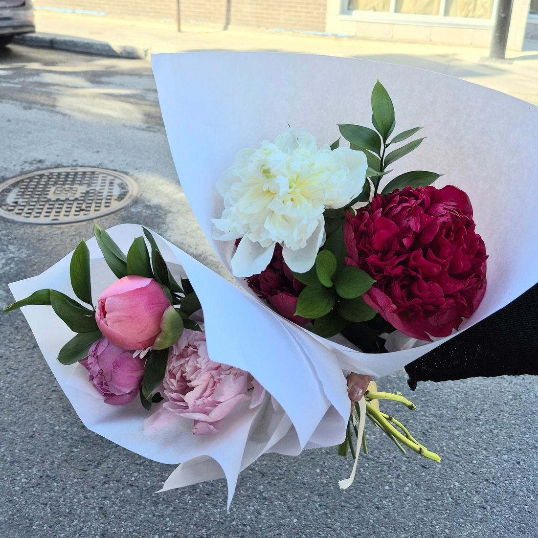 Bouquet of LOCAL PEONIES