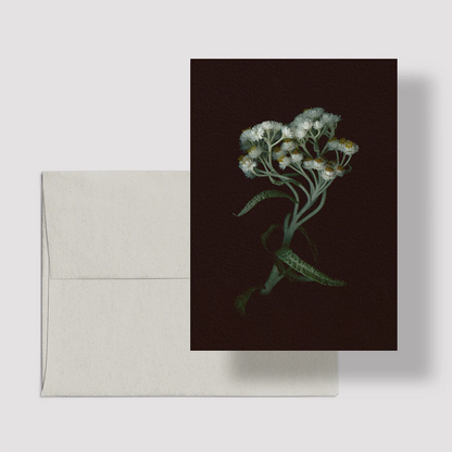 Carte d&