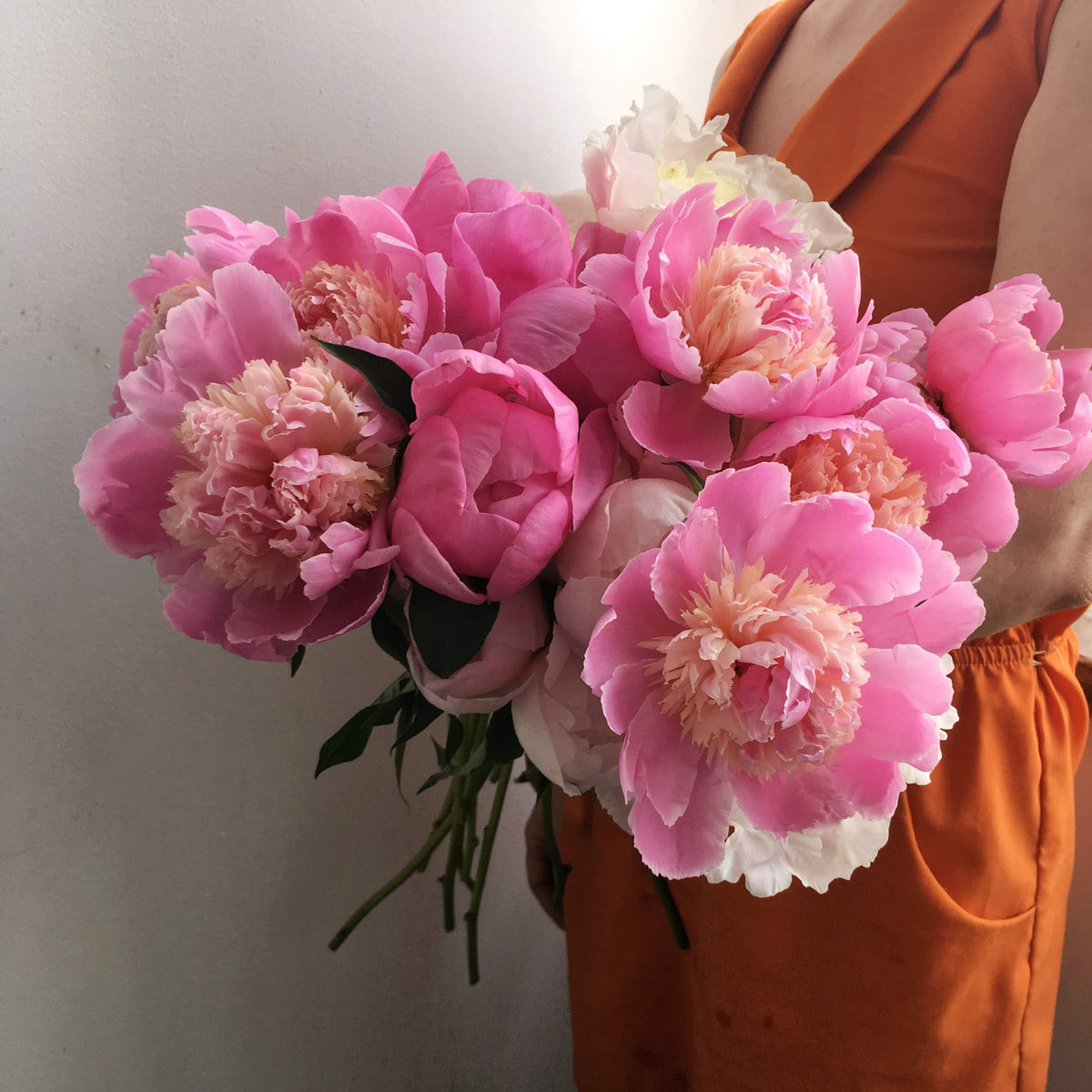 Bouquet of LOCAL PEONIES