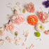 Confettis - Oursin fleurs