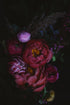 VANDERPUT Œuvre photographique de Grace et Flore - Oursin fleurs